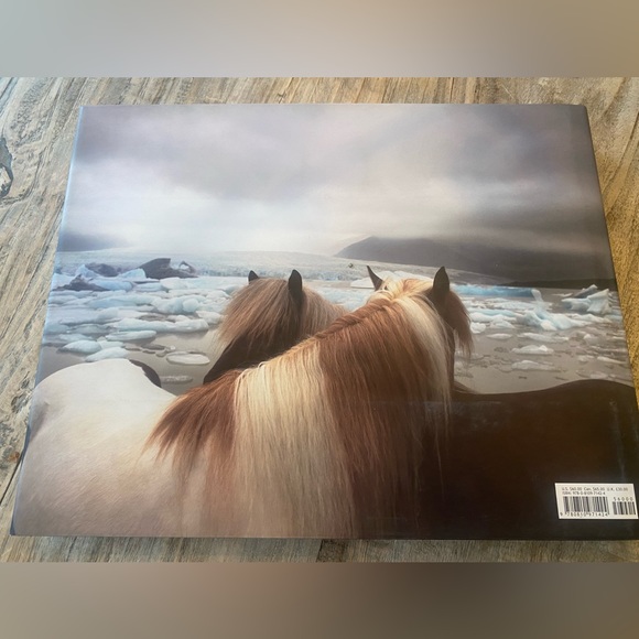 Book ▪️ EQUUS by Tim Flach.  Hardcover Coffee Table Book.  Excellent condition. - Picture 2 of 3